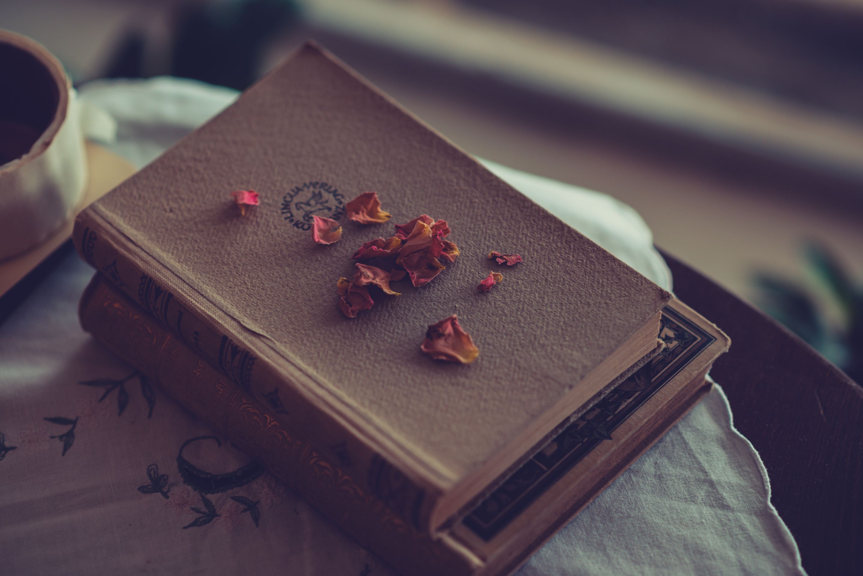 A vintage book adorned with dried petals resting on a table in soft lighting, evoking nostalgia.