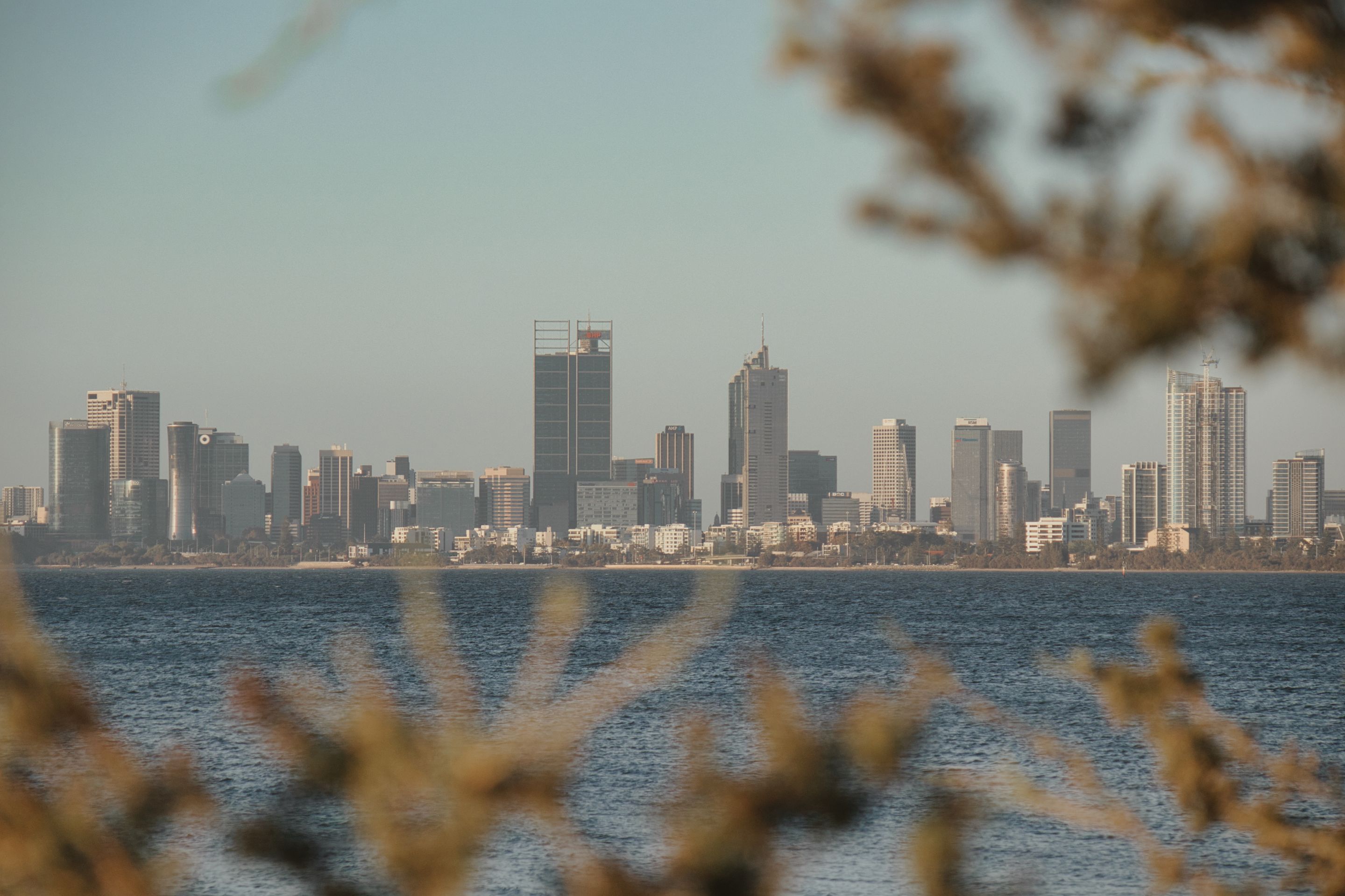 View of Perth skyline across water framed by foliage with a calm atmosphere at dusk.